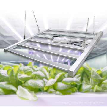 Full Spectrum LED Grow Light 600W 1000W 2000W High Power High Quality Indoor Plants LED Grow Light